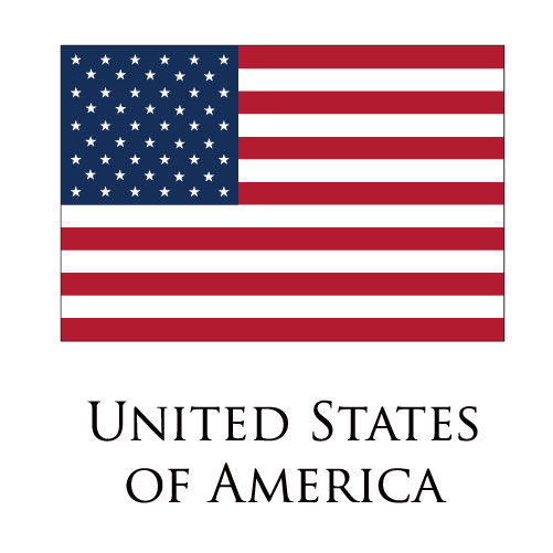 United States of America flag logo cricut iron on